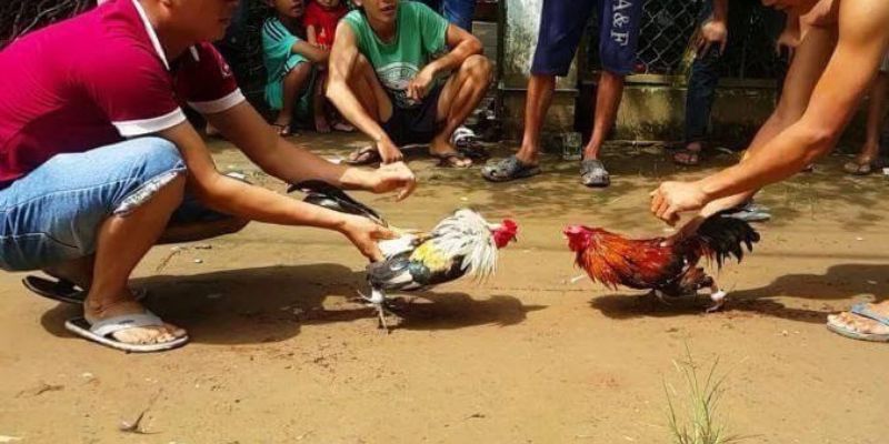 Ai đủ điều kiện tham gia Chương trình Khuyến mãi Hq88? - Hq88