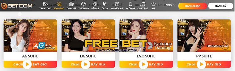 Kết luận về trò chơi, ưu đãi và hướng dẫn sử dụng - Hq88